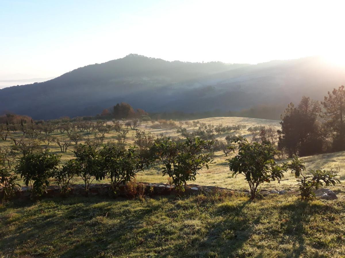 Agriturismo Aia Leccioni Micciano Zewnętrze zdjęcie