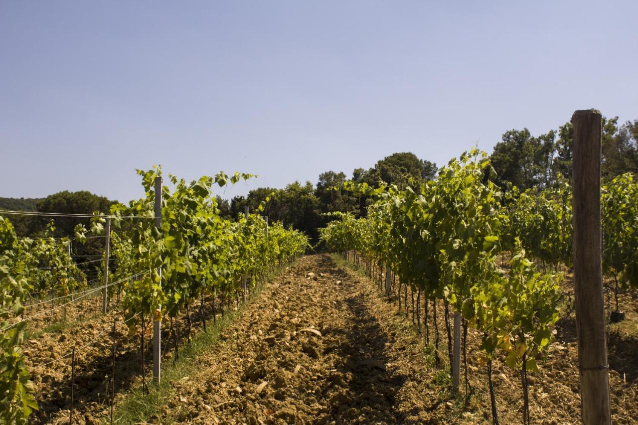 Agriturismo Aia Leccioni Micciano Zewnętrze zdjęcie
