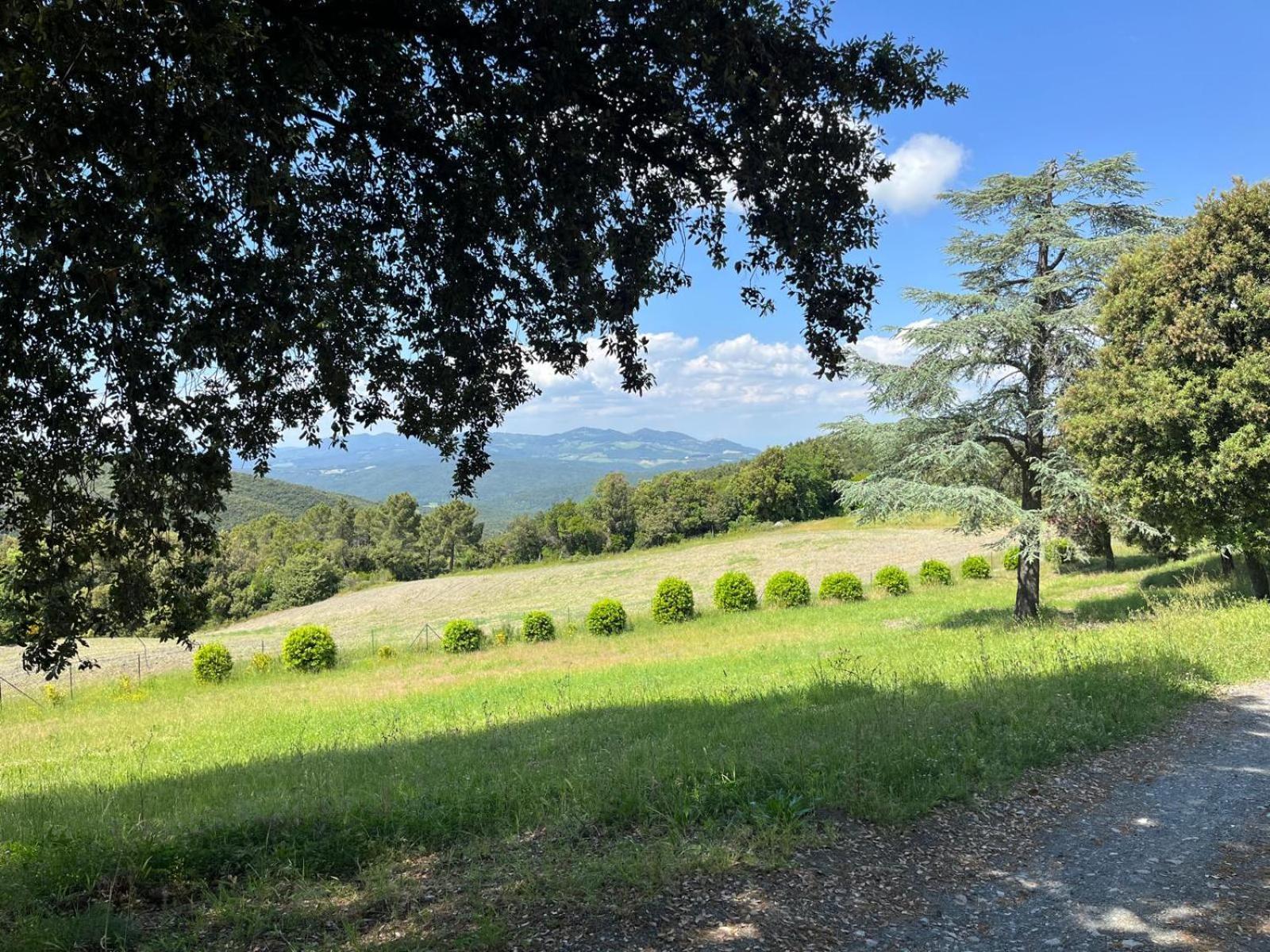 Agriturismo Aia Leccioni Micciano Zewnętrze zdjęcie
